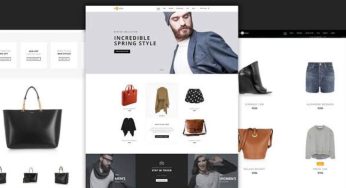 Top 5 Best WordPress themes for Businesses and eCommerce sites