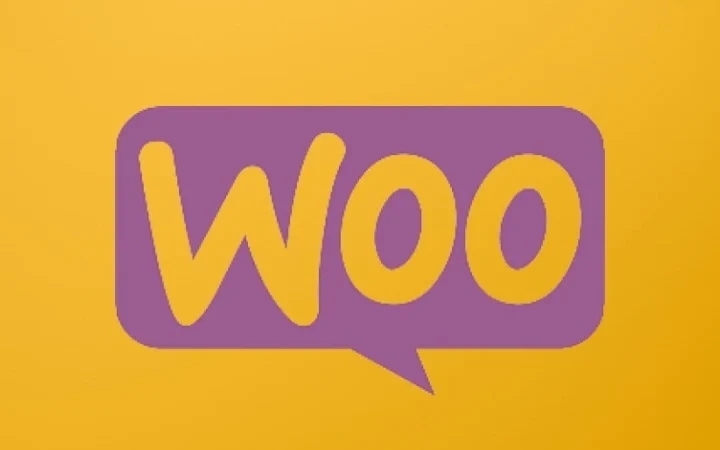 What is WooCommerce and Its Feature