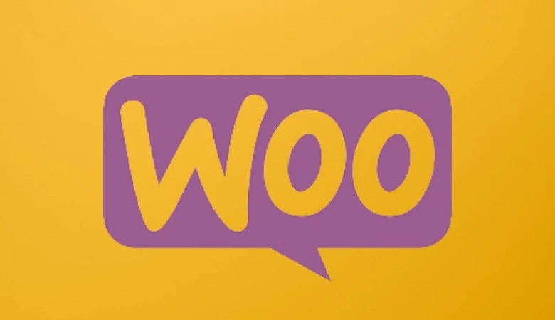 What is WooCommerce and Its Feature