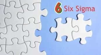 What is Six Sigma? and Six Sigma Belts for Organizations